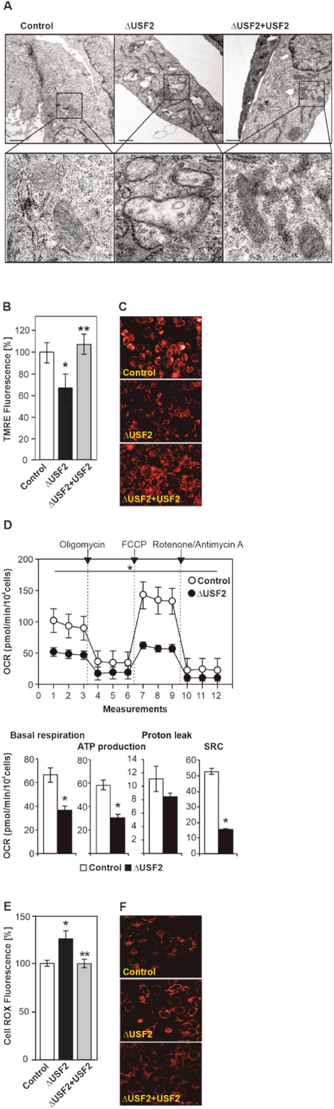 https://cdn.ncbi.nlm.nih.gov/pmc/blobs/c49c/7566946/9bb592e6a8a5/gr2.jpg