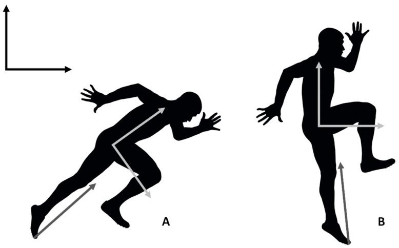 https://cdn.ncbi.nlm.nih.gov/pmc/blobs/c49d/6409580/f2671c2b3161/sports-07-00030-g001.jpg
