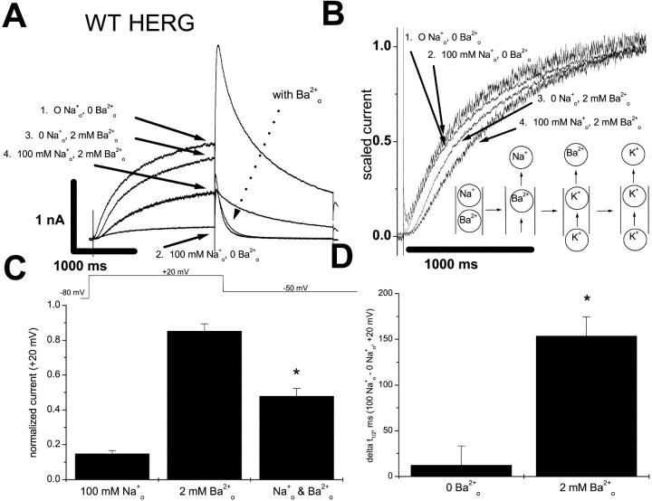 https://cdn.ncbi.nlm.nih.gov/pmc/blobs/c49e/2229534/76094fe72eb4/20028589f7.jpg
