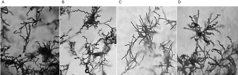 https://cdn.ncbi.nlm.nih.gov/pmc/blobs/c49e/9252147/b8e4d9177043/pjm-71-191-g002.jpg