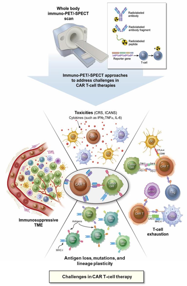 https://cdn.ncbi.nlm.nih.gov/pmc/blobs/c4a0/10333708/a65bd1a2a90c/fmed-10-1199146-g0001.jpg