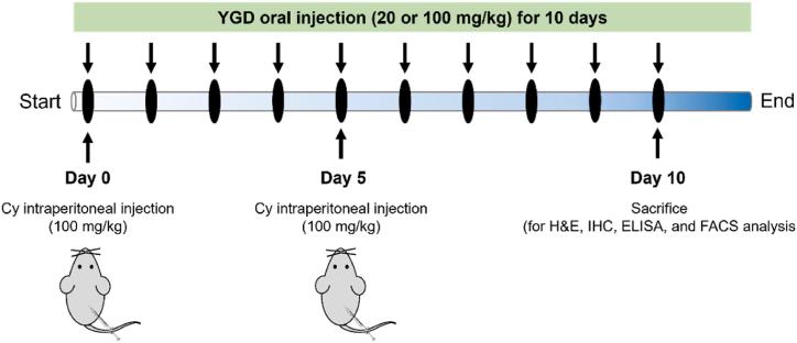 https://cdn.ncbi.nlm.nih.gov/pmc/blobs/c4a0/10826668/78b72256862a/sc2.jpg