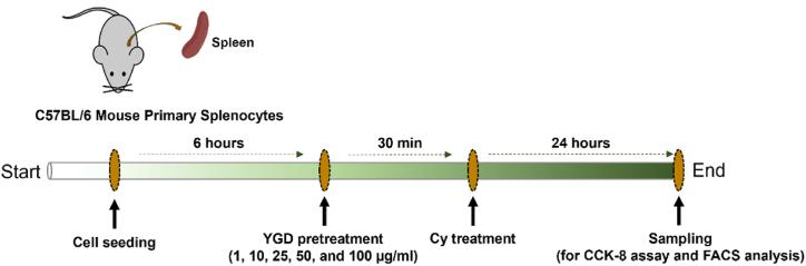 https://cdn.ncbi.nlm.nih.gov/pmc/blobs/c4a0/10826668/b9009f958a70/sc1.jpg