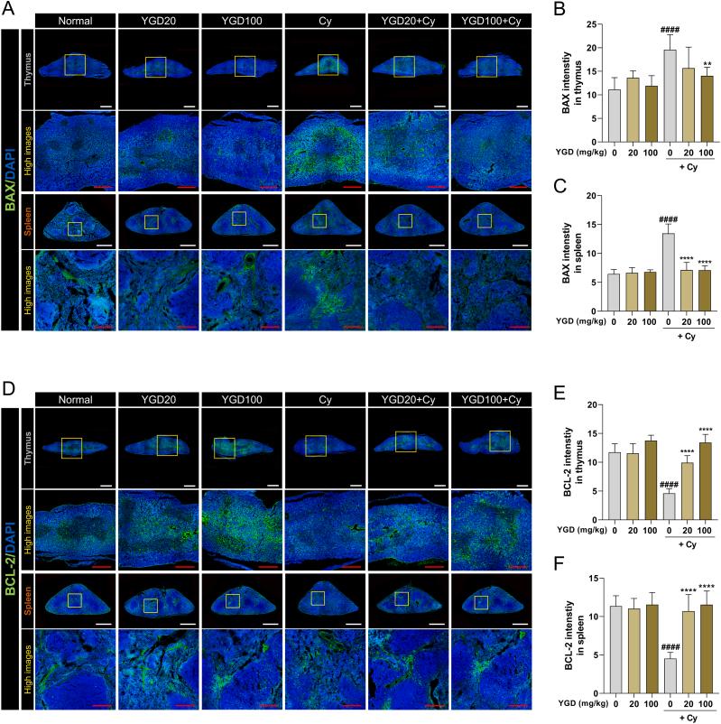 https://cdn.ncbi.nlm.nih.gov/pmc/blobs/c4a0/10826668/ce1bdf051478/gr3.jpg