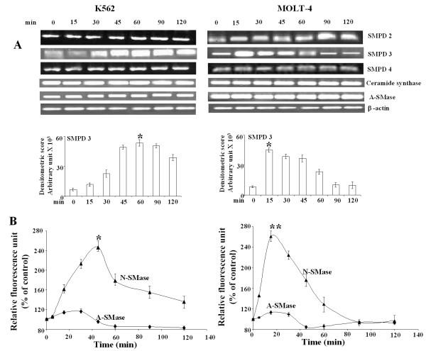 https://cdn.ncbi.nlm.nih.gov/pmc/blobs/c4a0/2949798/2d5af6ddb5c8/1476-4598-9-239-5.jpg