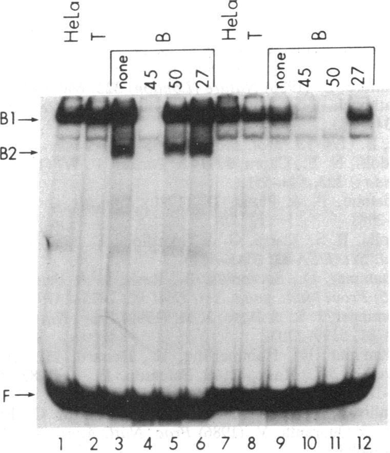 https://cdn.ncbi.nlm.nih.gov/pmc/blobs/c4a1/305063/8f65beaa50fe/pnas00277-0314-b.jpg