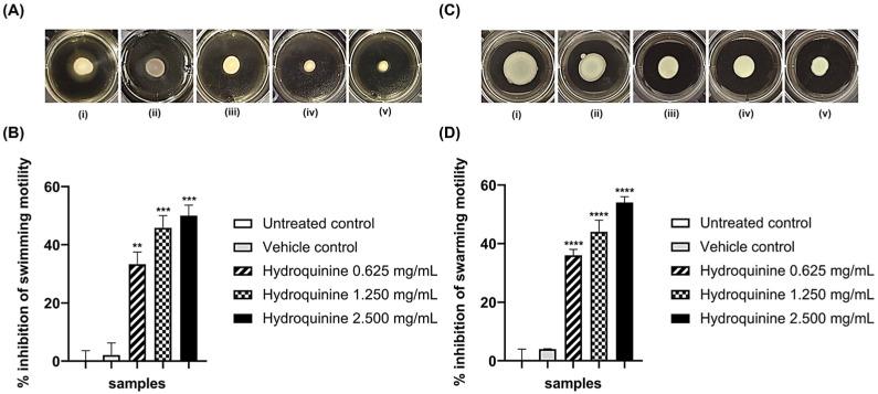 https://cdn.ncbi.nlm.nih.gov/pmc/blobs/c4a1/9598861/5bea1055d9c8/antibiotics-11-01436-g005.jpg