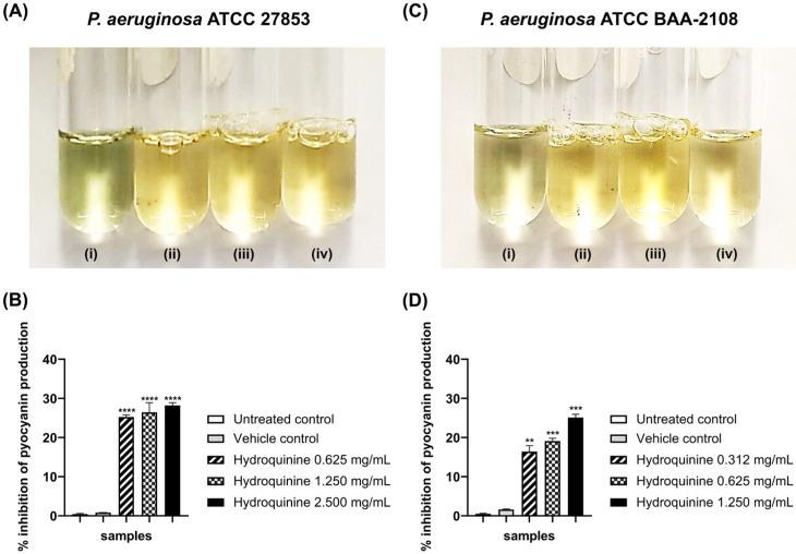 https://cdn.ncbi.nlm.nih.gov/pmc/blobs/c4a1/9598861/5e4da8c53006/antibiotics-11-01436-g007.jpg