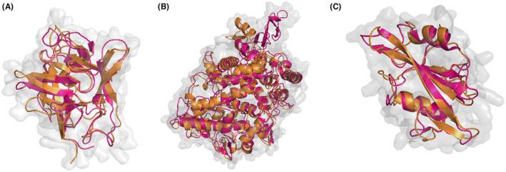 https://cdn.ncbi.nlm.nih.gov/pmc/blobs/c4a2/11615512/2adfaebc1339/JCMM-28-e70158-g018.jpg