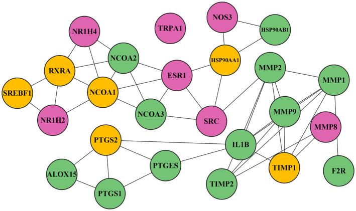 https://cdn.ncbi.nlm.nih.gov/pmc/blobs/c4a2/11615512/5245f03e18fd/JCMM-28-e70158-g014.jpg