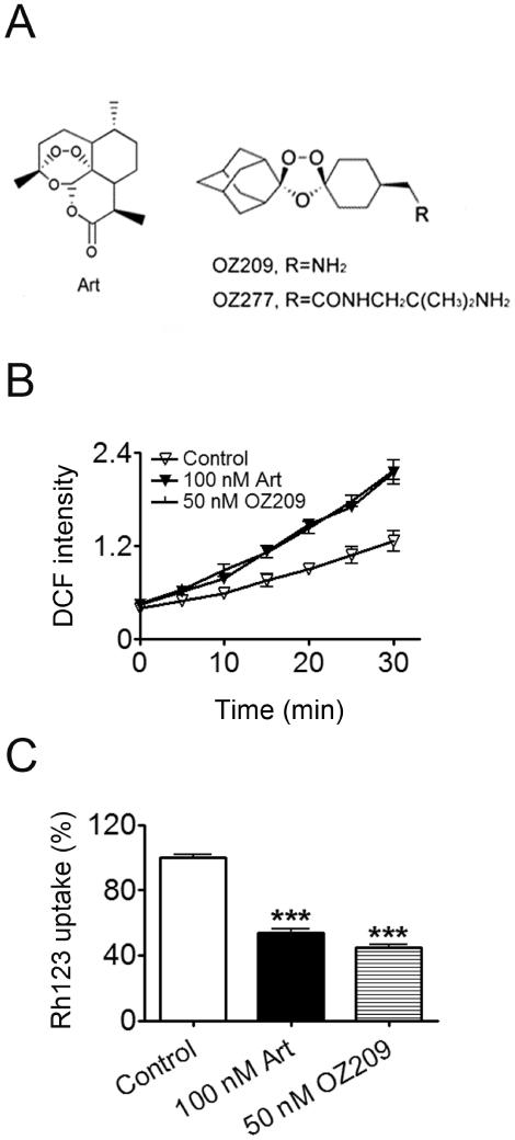 https://cdn.ncbi.nlm.nih.gov/pmc/blobs/c4a3/2833198/8b493b45d4ca/pone.0009582.g006.jpg