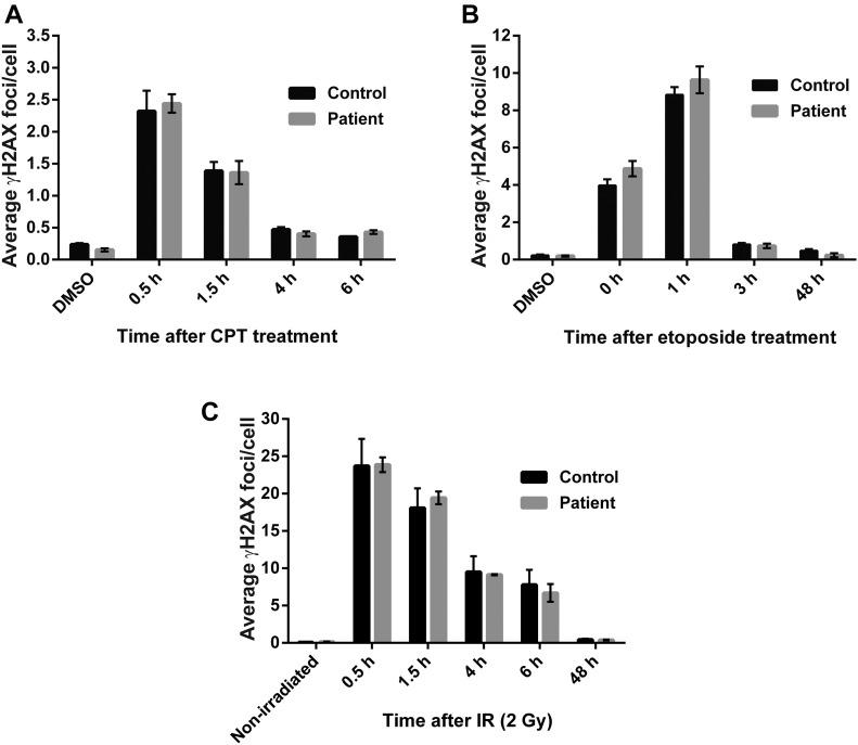 https://cdn.ncbi.nlm.nih.gov/pmc/blobs/c4a3/6391683/c352abcb490d/LSA-2018-00222_Fig1.jpg