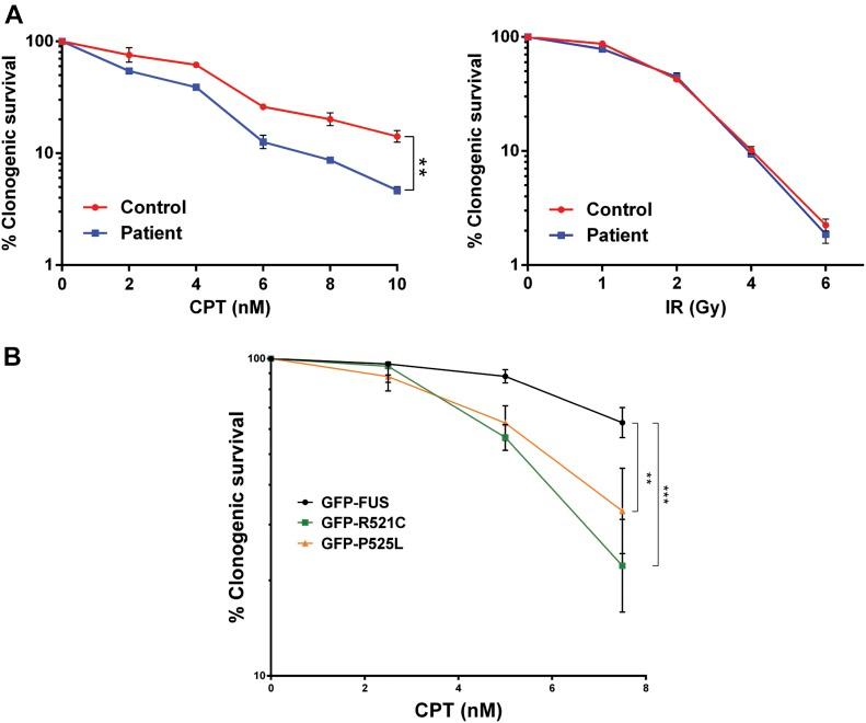 https://cdn.ncbi.nlm.nih.gov/pmc/blobs/c4a3/6391683/d7f1a5c33337/LSA-2018-00222_Fig7.jpg