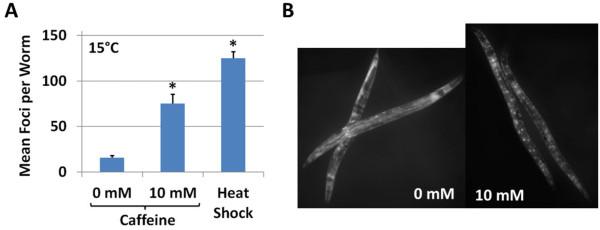 https://cdn.ncbi.nlm.nih.gov/pmc/blobs/c4a4/3922918/cd40c438bd9b/2046-2395-1-9-8.jpg