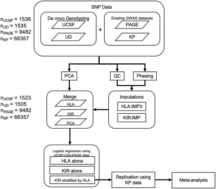 https://cdn.ncbi.nlm.nih.gov/pmc/blobs/c4a9/8231283/1018e3628112/fimmu-12-684326-g001.jpg