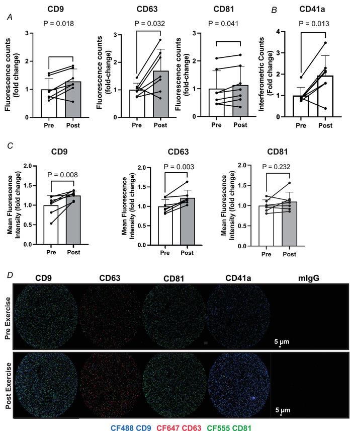 https://cdn.ncbi.nlm.nih.gov/pmc/blobs/c4aa/10953002/1e9b64fc6fba/TJP-601-5093-g008.jpg