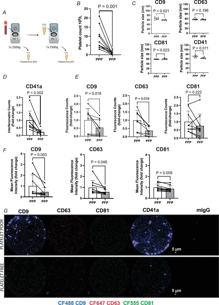 https://cdn.ncbi.nlm.nih.gov/pmc/blobs/c4aa/10953002/4d72edb6336c/TJP-601-5093-g005.jpg