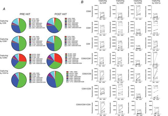 https://cdn.ncbi.nlm.nih.gov/pmc/blobs/c4aa/10953002/d4e027a3e080/TJP-601-5093-g001.jpg