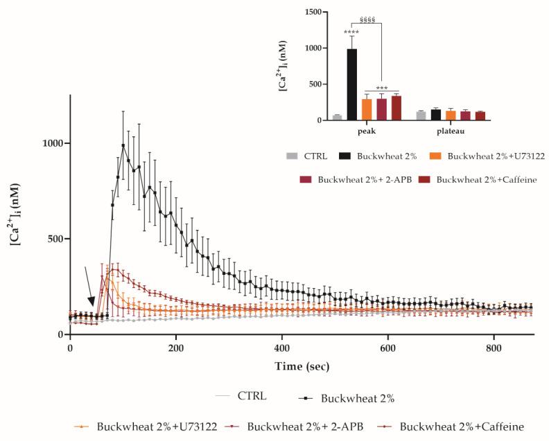 https://cdn.ncbi.nlm.nih.gov/pmc/blobs/c4ab/8147193/f07c156b11d7/cells-10-01071-g006.jpg