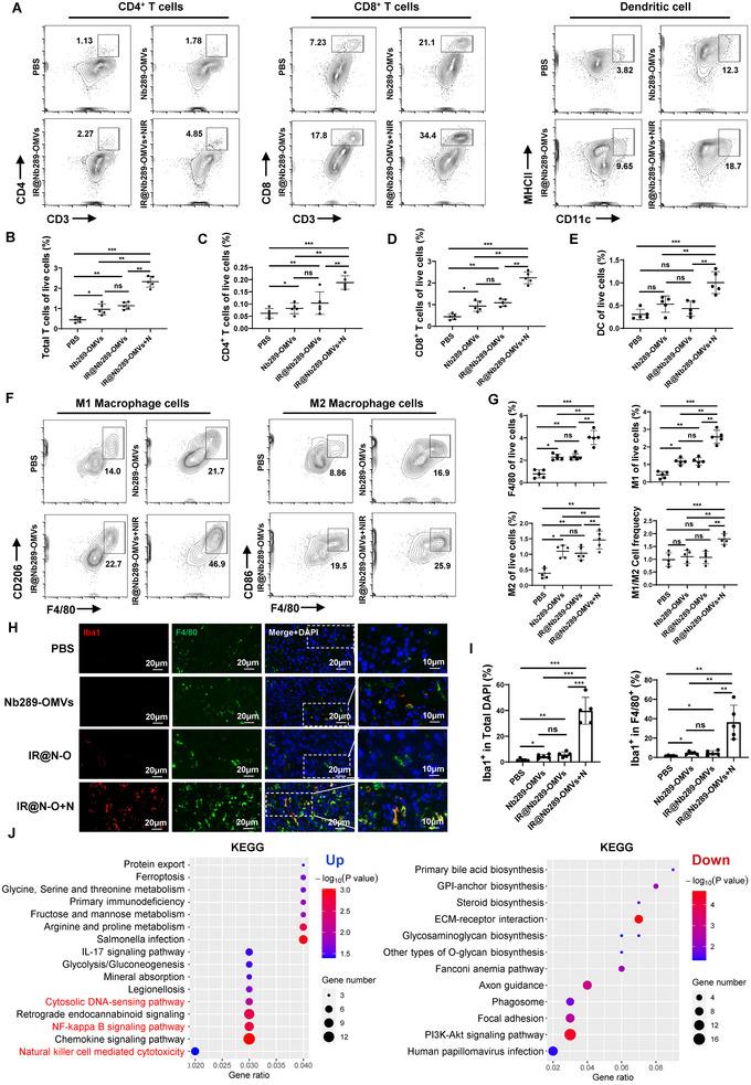 https://cdn.ncbi.nlm.nih.gov/pmc/blobs/c4b0/12003094/7caf2e4d704c/JEV2-14-e70069-g008.jpg