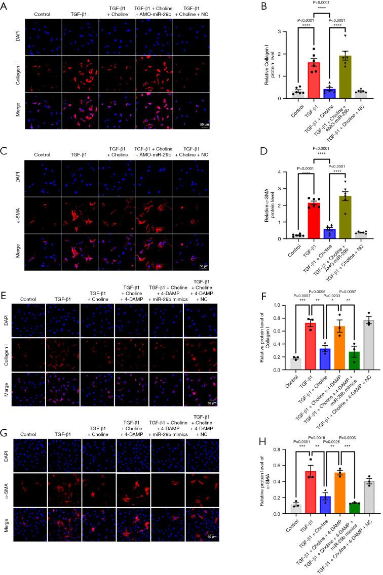 https://cdn.ncbi.nlm.nih.gov/pmc/blobs/c4b1/10904290/3d7ec8a2cf9c/cdt-14-01-143-f3.jpg