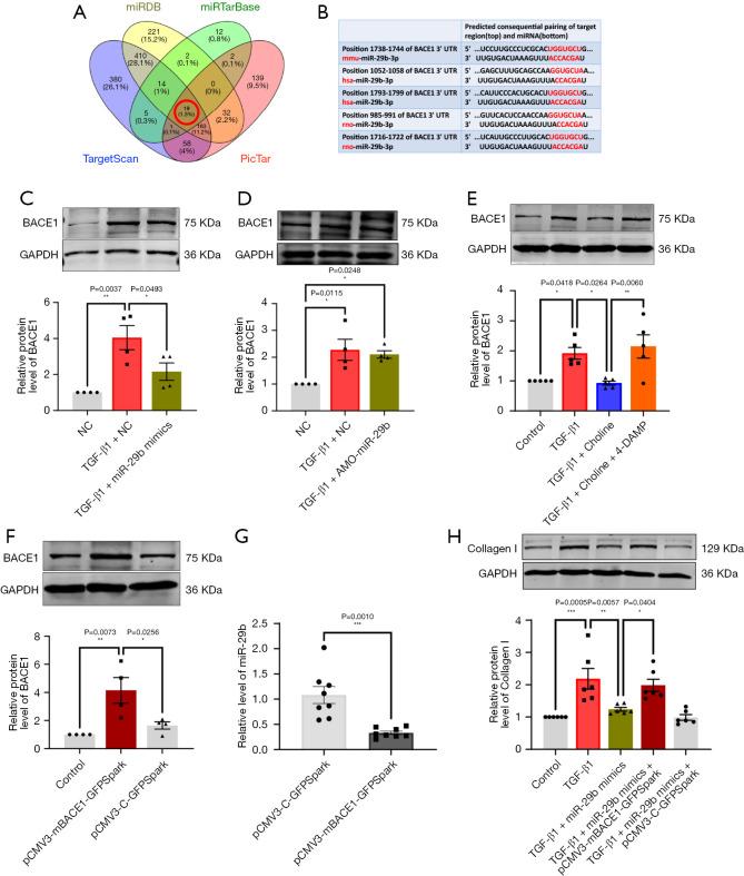 https://cdn.ncbi.nlm.nih.gov/pmc/blobs/c4b1/10904290/431dc45d8250/cdt-14-01-143-f5.jpg