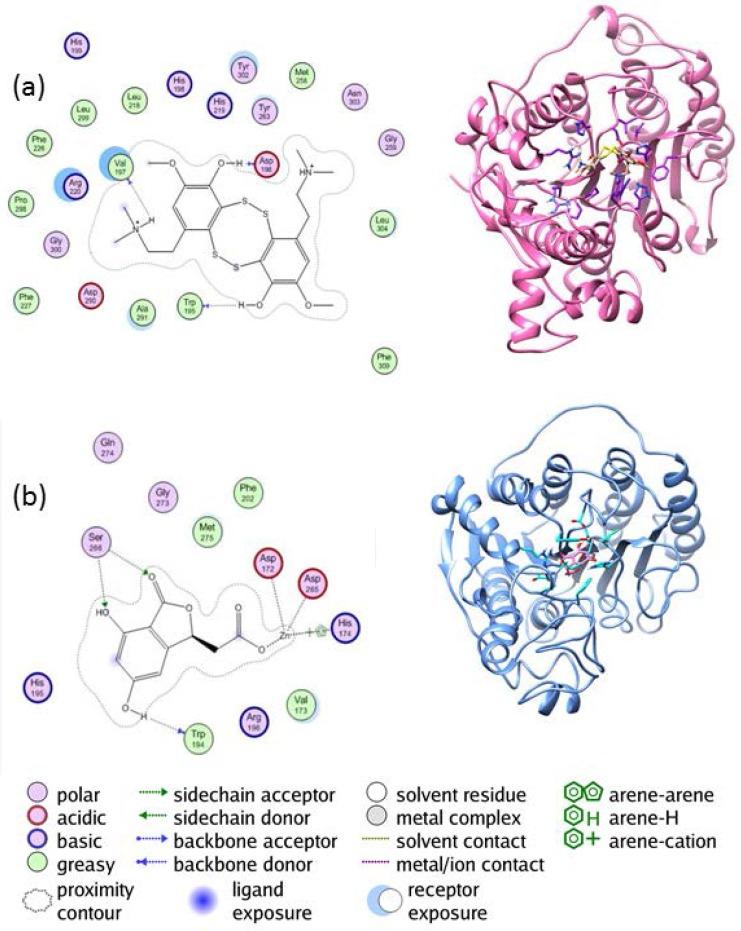 https://cdn.ncbi.nlm.nih.gov/pmc/blobs/c4b1/5610765/43bdc923ac88/ijpr-16-1113-g004.jpg