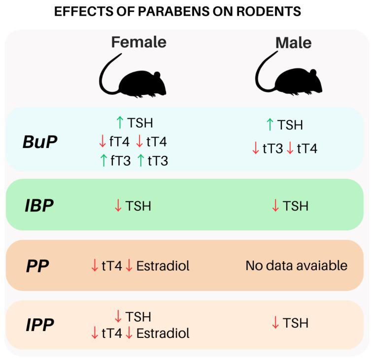 https://cdn.ncbi.nlm.nih.gov/pmc/blobs/c4b5/10607526/0e80e7e71d7f/ijms-24-15246-g002.jpg