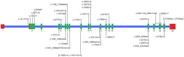 https://cdn.ncbi.nlm.nih.gov/pmc/blobs/c4b5/3479421/7f15de254449/1750-1172-7-35-4.jpg