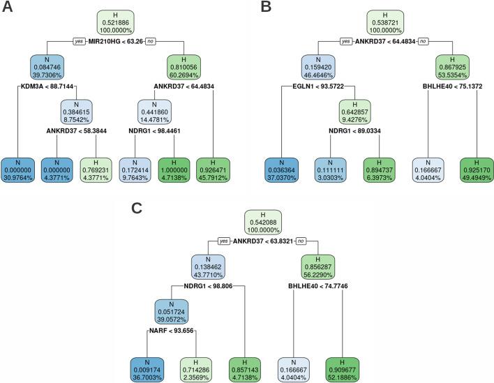 https://cdn.ncbi.nlm.nih.gov/pmc/blobs/c4b5/9153107/3815429b200f/12859_2022_4741_Fig3_HTML.jpg