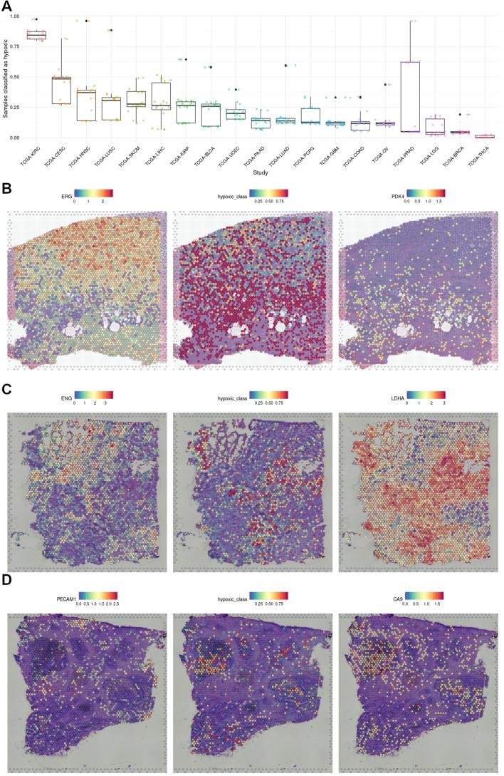https://cdn.ncbi.nlm.nih.gov/pmc/blobs/c4b5/9153107/433f3690568a/12859_2022_4741_Fig5_HTML.jpg