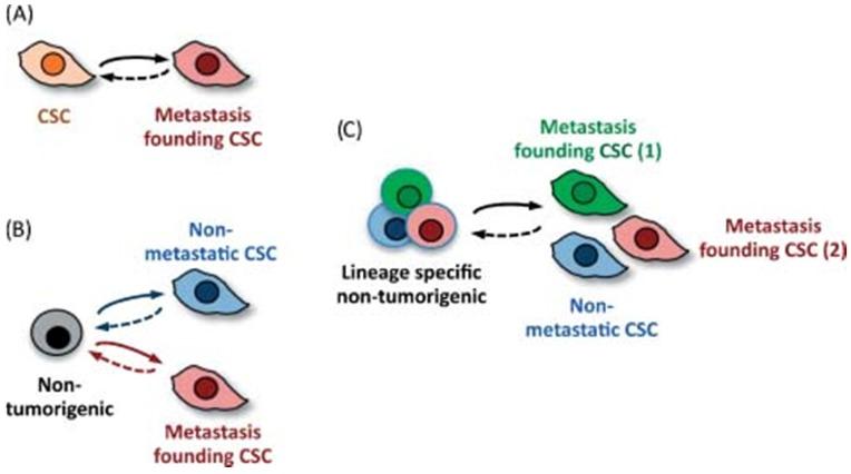 https://cdn.ncbi.nlm.nih.gov/pmc/blobs/c4b6/6485233/5b73ba1061eb/jcav10p1358g003.jpg