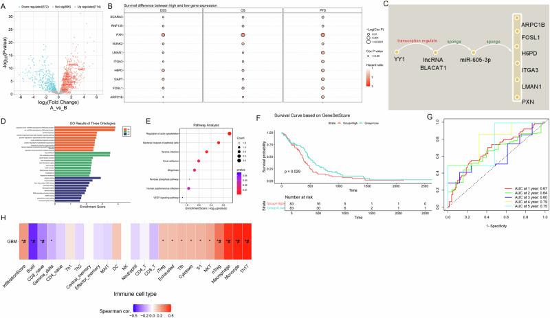 https://cdn.ncbi.nlm.nih.gov/pmc/blobs/c4b7/12215738/b901e6d28b83/41698_2025_1001_Fig1_HTML.jpg