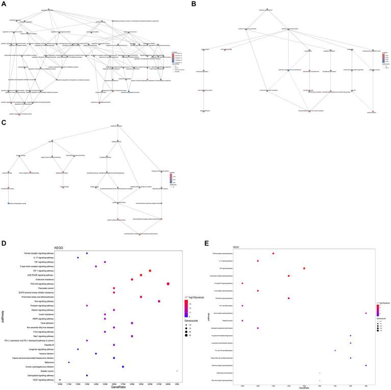 https://cdn.ncbi.nlm.nih.gov/pmc/blobs/c4b9/11220276/303228d2319b/fmed-11-1406149-g007.jpg