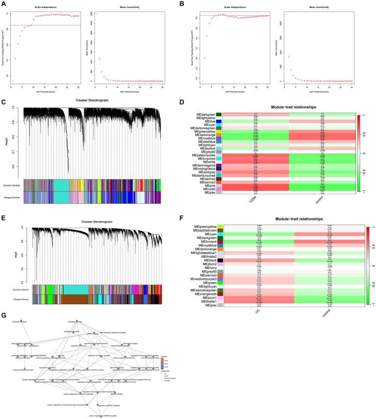 https://cdn.ncbi.nlm.nih.gov/pmc/blobs/c4b9/11220276/9121e90d7052/fmed-11-1406149-g002.jpg