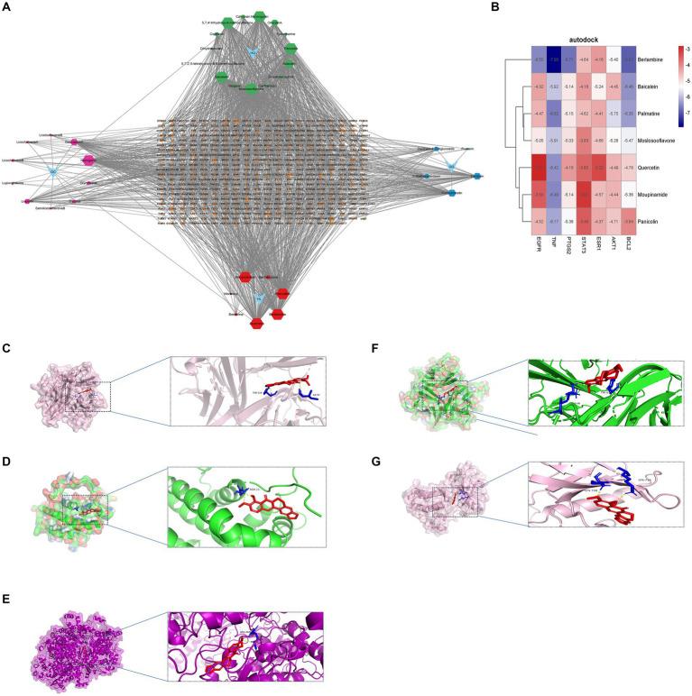 https://cdn.ncbi.nlm.nih.gov/pmc/blobs/c4b9/11220276/e4103dc9cc44/fmed-11-1406149-g008.jpg