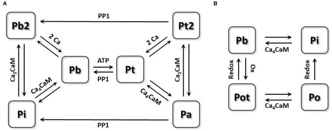 https://cdn.ncbi.nlm.nih.gov/pmc/blobs/c4b9/7775483/3079134e699b/fphys-11-607809-g0001.jpg