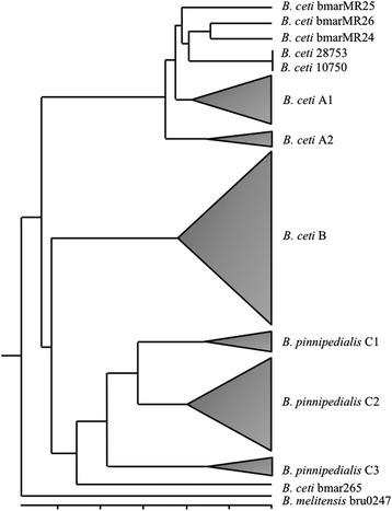 https://cdn.ncbi.nlm.nih.gov/pmc/blobs/c4ba/4180538/ddc6ce4f3302/12917_2014_206_Fig6_HTML.jpg