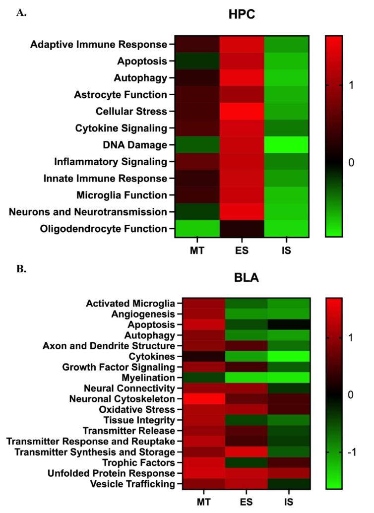 https://cdn.ncbi.nlm.nih.gov/pmc/blobs/c4ba/9506236/11d88efe2aff/life-12-01320-g006.jpg