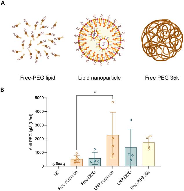 https://cdn.ncbi.nlm.nih.gov/pmc/blobs/c4bc/11109479/16c8904352a0/bmr.0017.fig.003.jpg