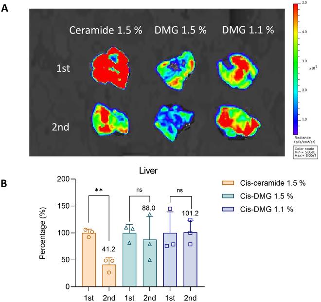 https://cdn.ncbi.nlm.nih.gov/pmc/blobs/c4bc/11109479/999bd23e0c89/bmr.0017.fig.006.jpg