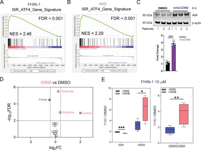 https://cdn.ncbi.nlm.nih.gov/pmc/blobs/c4bc/8735863/6921780cd1e7/elife-72593-fig6-figsupp1.jpg
