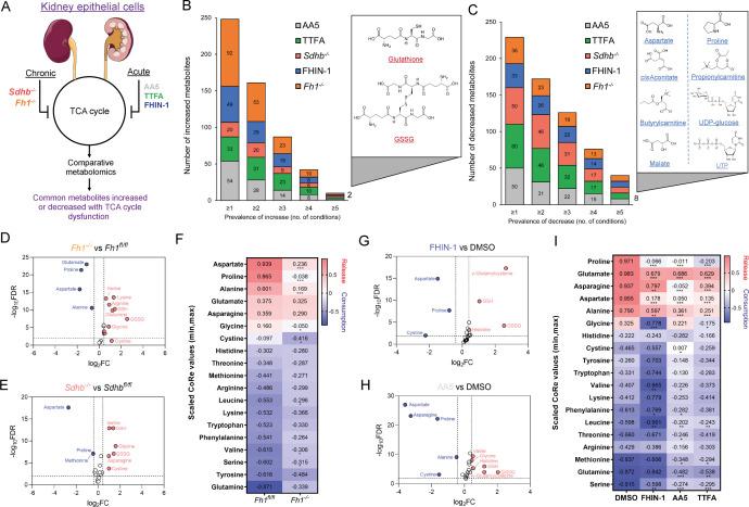 https://cdn.ncbi.nlm.nih.gov/pmc/blobs/c4bc/8735863/dbcd57ea9b29/elife-72593-fig1.jpg