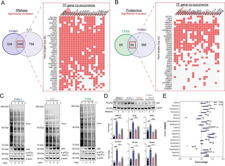https://cdn.ncbi.nlm.nih.gov/pmc/blobs/c4bc/8735863/e17745efe787/elife-72593-fig6.jpg