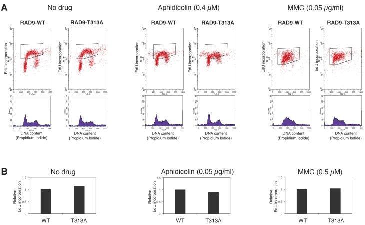 https://cdn.ncbi.nlm.nih.gov/pmc/blobs/c4bf/5736350/74b883a168e5/elife-29953-fig4-figsupp6.jpg