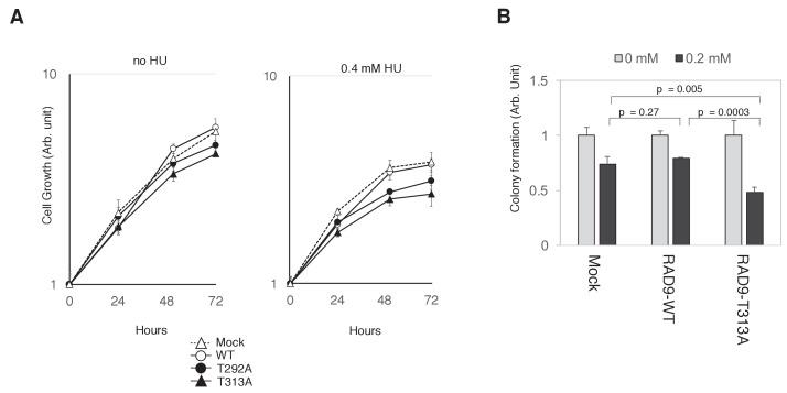 https://cdn.ncbi.nlm.nih.gov/pmc/blobs/c4bf/5736350/c3cde8f026ef/elife-29953-fig6.jpg
