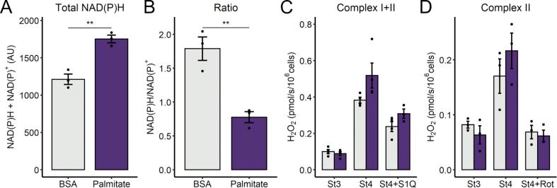 https://cdn.ncbi.nlm.nih.gov/pmc/blobs/c4bf/8187254/6f9667713158/gr5.jpg