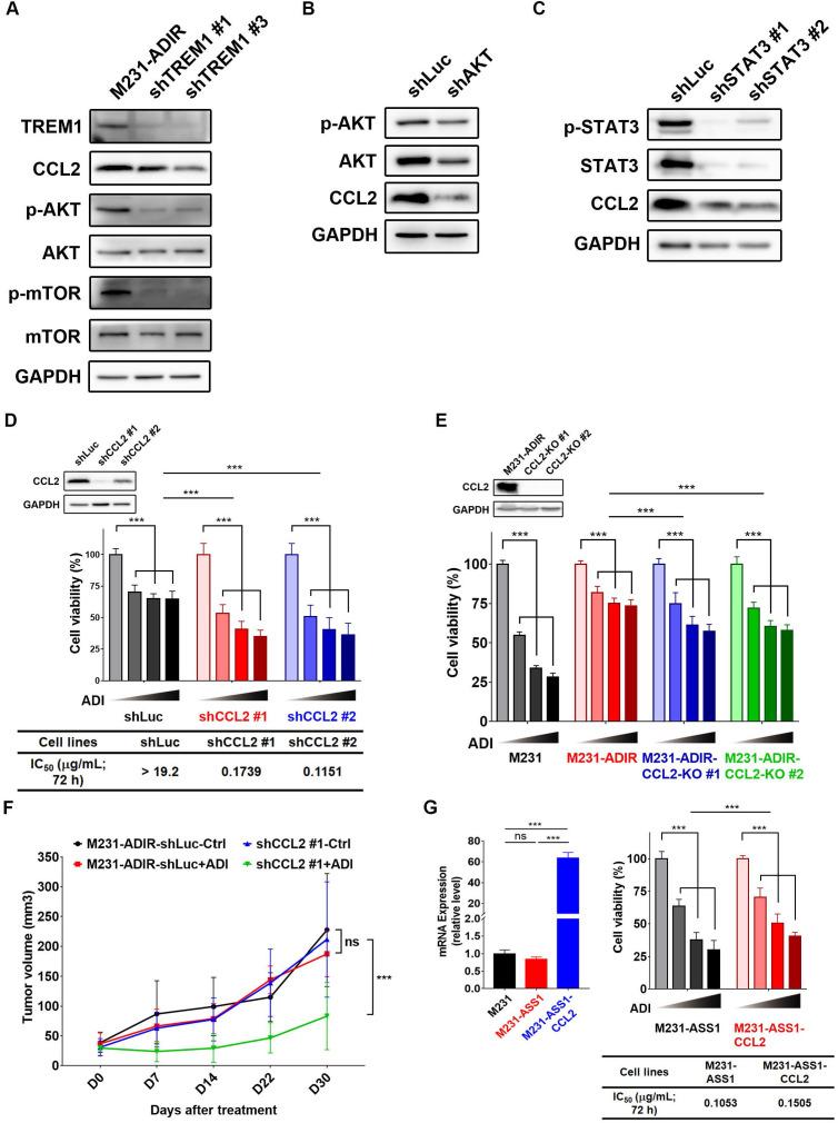 https://cdn.ncbi.nlm.nih.gov/pmc/blobs/c4c0/7914361/f97c747c777d/thnov11p3624g007.jpg