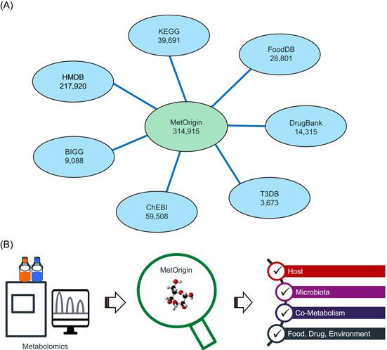 https://cdn.ncbi.nlm.nih.gov/pmc/blobs/c4c2/10989983/ffd539432048/IMT2-1-e10-g005.jpg