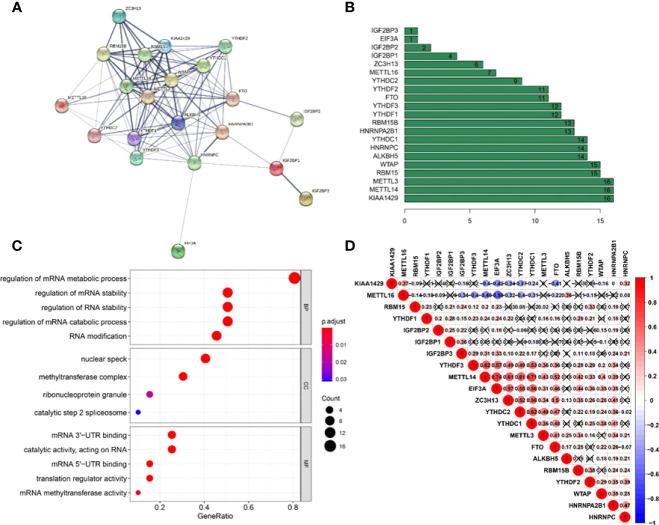 https://cdn.ncbi.nlm.nih.gov/pmc/blobs/c4c4/9458859/174d7d6b2d03/fimmu-13-976107-g003.jpg